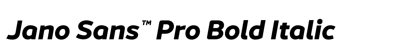 Jano Sans™ Pro Bold Italic image